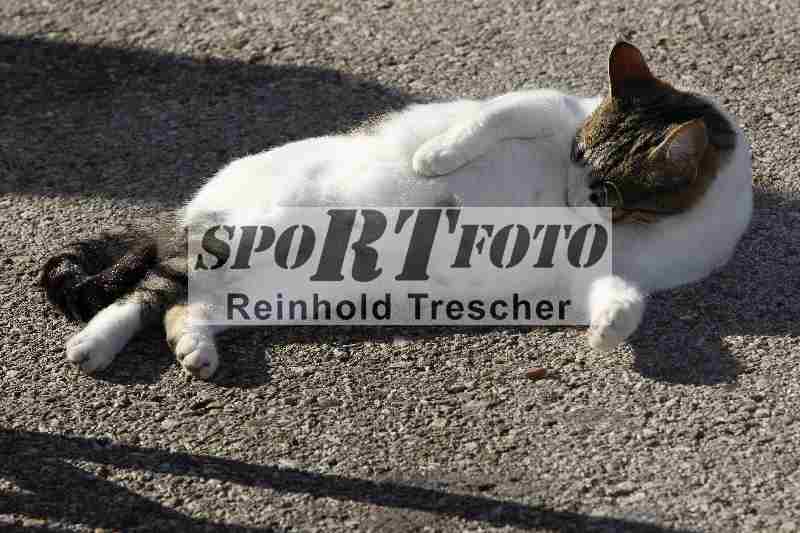 Archiv-2025/01 24.-27.01.2025 Moto Center Thun Jerez/24.01.2025 Impressionen